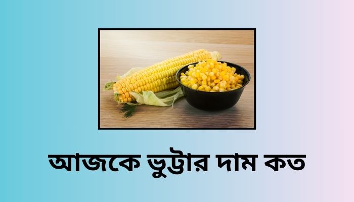 আজকে ভুট্টার দাম কত ২০২৫