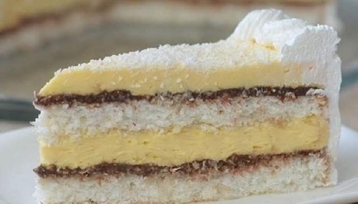 Savršen spoj kokosa i čokolade – Kokos torta sa Eurokremom – Receptizasve
