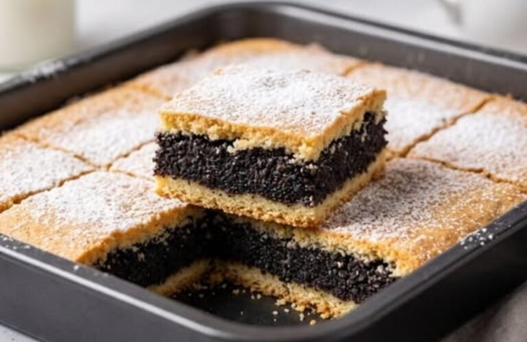 Domaća lenja pita sa makom | Starinski recept za najmekše prhko testo